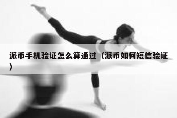 派币手机验证怎么算通过（派币如何短信验证） 第1张