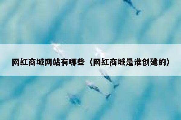 网红商城网站有哪些(网红商城是谁创建的) 第1张 网红商城网站有哪些(网红商城是谁创建的) 第1张