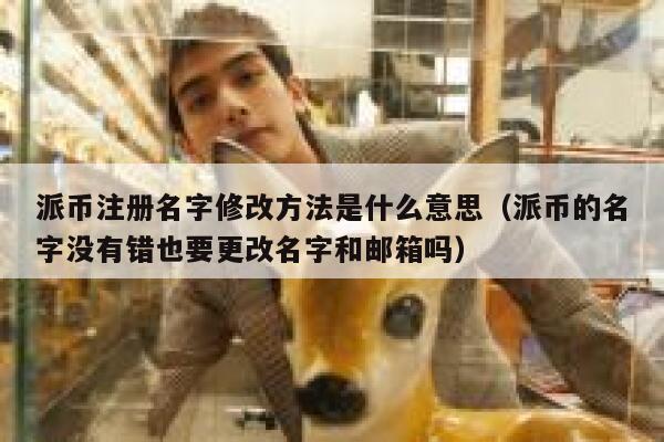 派币注册名字修改方法是什么意思（派币的名字没有错也要更改名字和邮箱吗） 第1张