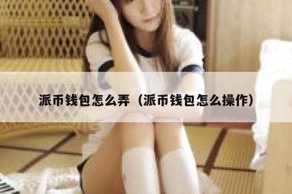 派币钱包怎么弄（派币钱包怎么操作） 第1张
