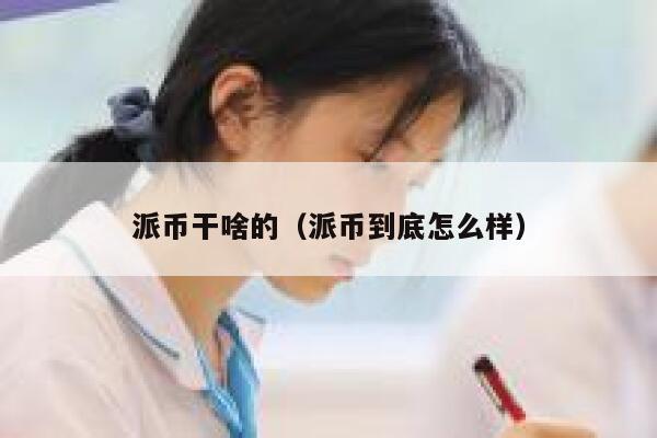 派币干啥的（派币到底怎么样） 第1张