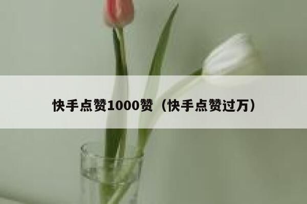 快手点赞1000赞（快手点赞过万） 第1张