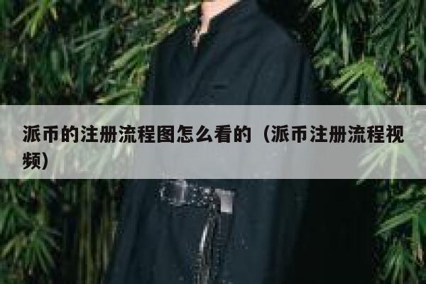 派币的注册流程图怎么看的（派币注册流程视频） 第1张