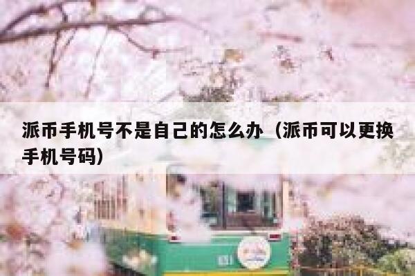 派币手机号不是自己的怎么办（派币可以更换手机号码） 第1张