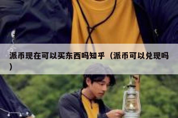 派币现在可以买东西吗知乎（派币可以兑现吗） 第1张