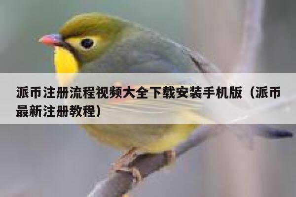 派币注册流程视频大全下载安装手机版（派币最新注册教程） 第1张