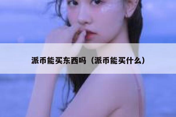 派币能买东西吗（派币能买什么） 第1张
