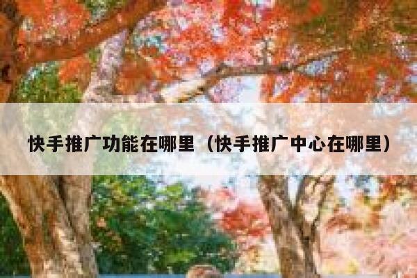 快手推广功能在哪里（快手推广中心在哪里） 第1张