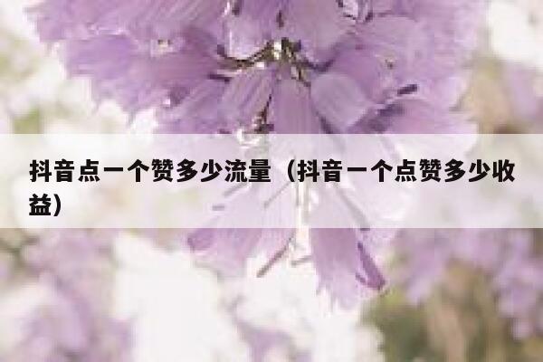 抖音点一个赞多少流量（抖音一个点赞多少收益） 第1张