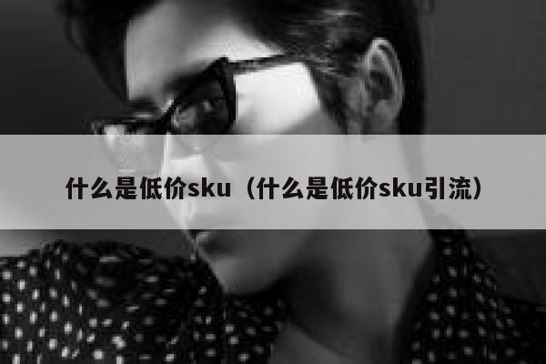 什么是低价sku(什么是低价sku引流) 第1张 什么是低价sku(什么是低价sku引流) 第1张