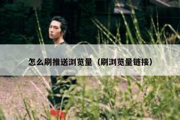 怎么刷推送浏览量（刷浏览量链接） 第1张