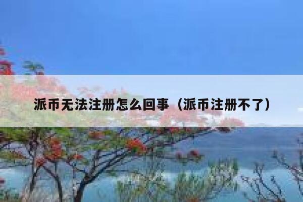 派币无法注册怎么回事（派币注册不了） 第1张