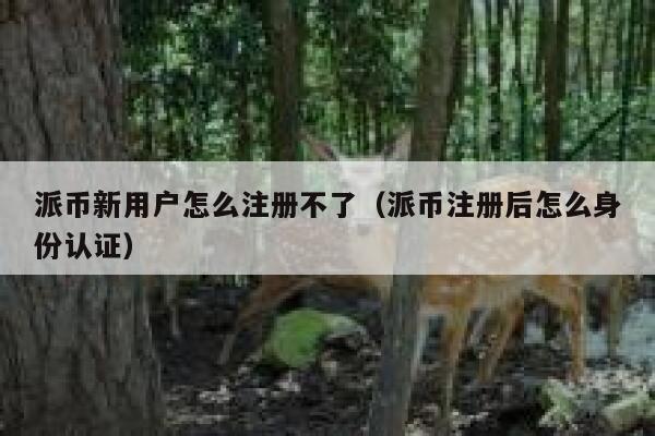 派币新用户怎么注册不了（派币注册后怎么身份认证） 第1张