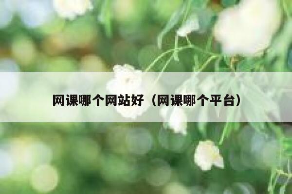 网课哪个网站好（网课哪个平台） 第1张