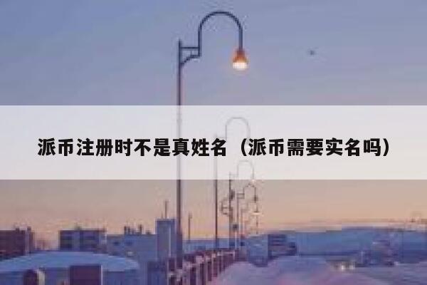 派币注册时不是真姓名（派币需要实名吗） 第1张