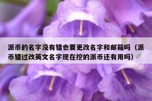 派币的名字没有错也要更改名字和邮箱吗（派币错过改英文名字现在挖的派币还有用吗） 第1张