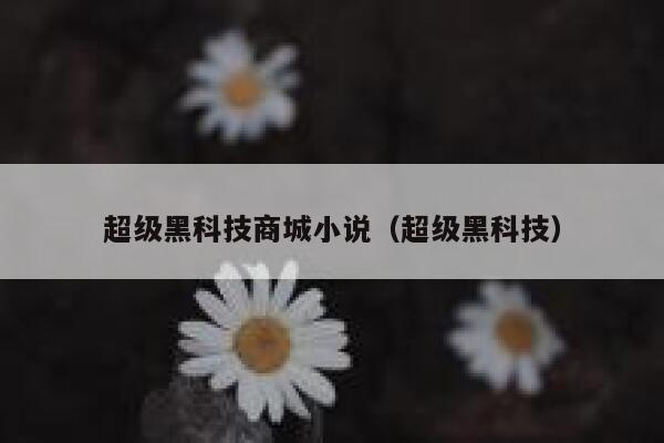 超级黑科技商城小说（超级黑科技） 第1张