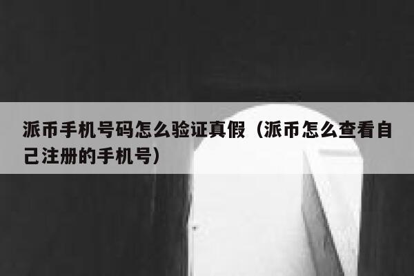 派币手机号码怎么验证真假(派币怎么查看自己注册的手机号) 第1张 派币手机号码怎么验证真假(派币怎么查看自己注册的手机号) 第1张