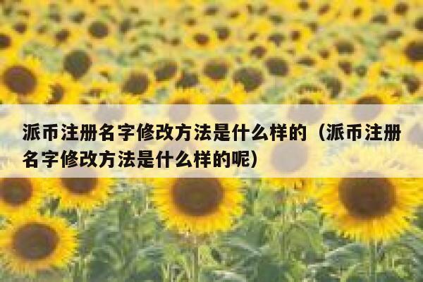 派币注册名字修改方法是什么样的(派币注册名字修改方法是什么样的呢) 第1张 派币注册名字修改方法是什么样的(派币注册名字修改方法是什么样的呢) 第1张