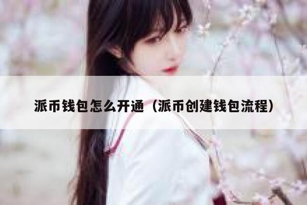 派币钱包怎么开通(派币创建钱包流程) 第1张 派币钱包怎么开通(派币创建钱包流程) 第1张