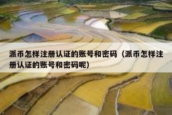 派币怎样注册认证的账号和密码（派币怎样注册认证的账号和密码呢） 第1张