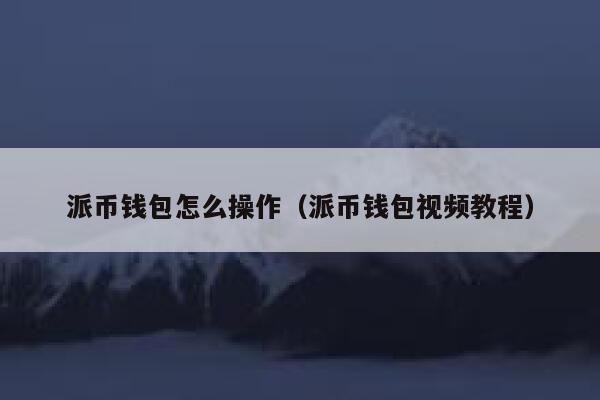 派币钱包怎么操作（派币钱包视频教程） 第1张