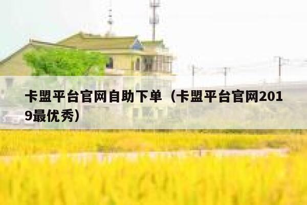 卡盟平台官网自助下单（卡盟平台官网2019最优秀） 第1张