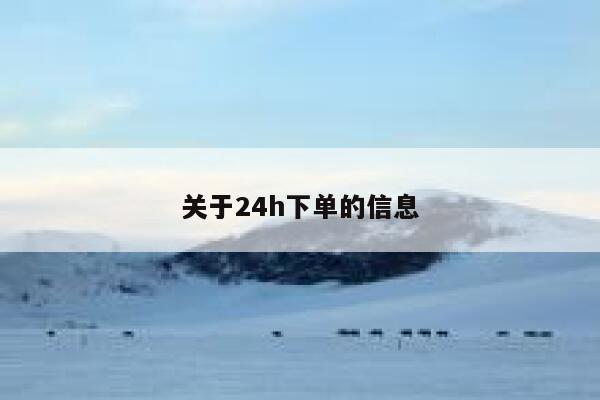 关于24h下单的信息 第1张 关于24h下单的信息 第1张