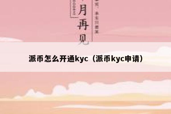 派币怎么开通kyc（派币kyc申请） 第1张