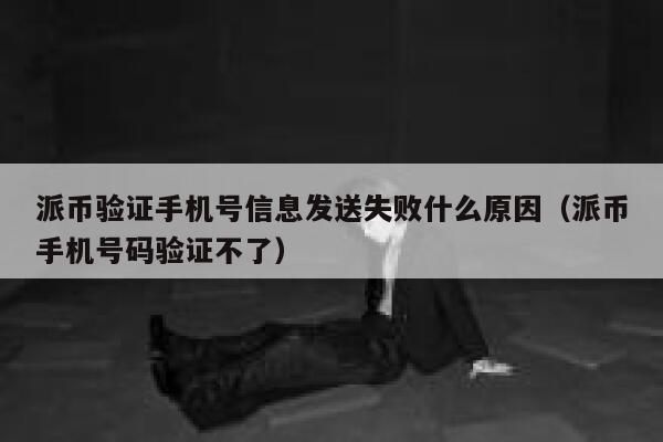 派币验证手机号信息发送失败什么原因(派币手机号码验证不了) 第1张 派币验证手机号信息发送失败什么原因(派币手机号码验证不了) 第1张