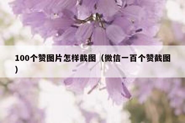 100个赞图片怎样截图（微信一百个赞截图） 第1张