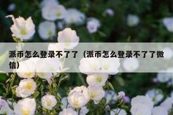派币怎么登录不了了（派币怎么登录不了了微信） 第1张