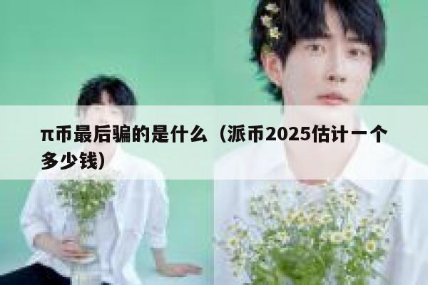 π币最后骗的是什么（派币2025估计一个多少钱） 第1张