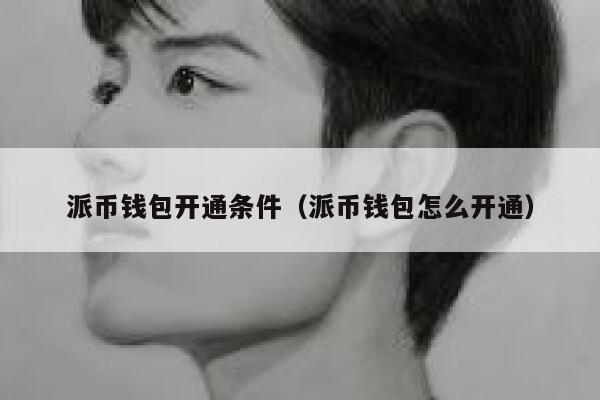 派币钱包开通条件（派币钱包怎么开通） 第1张