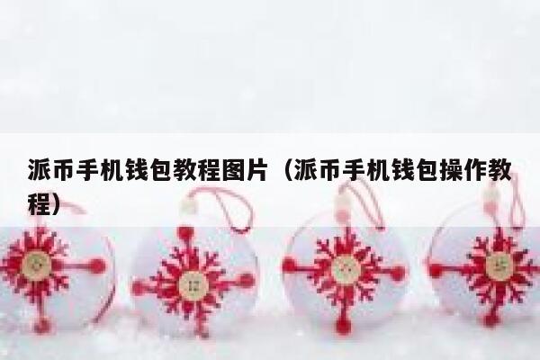 派币手机钱包教程图片（派币手机钱包操作教程） 第1张