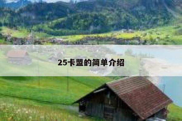 25卡盟的简单介绍 第1张