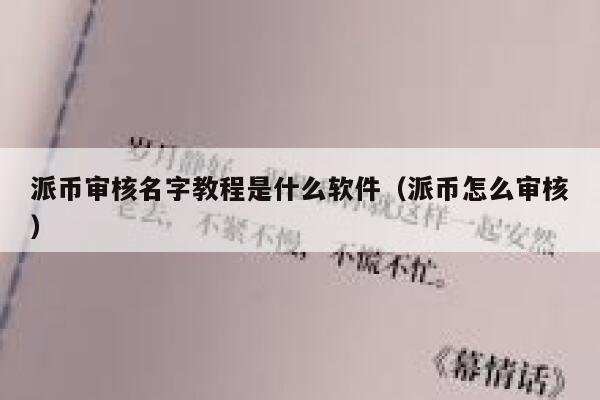 派币审核名字教程是什么软件(派币怎么审核) 第1张 派币审核名字教程是什么软件(派币怎么审核) 第1张