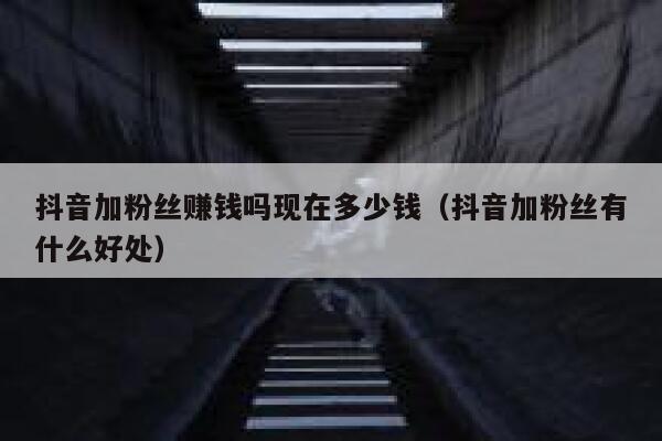 抖音加粉丝赚钱吗现在多少钱(抖音加粉丝有什么好处) 第1张 抖音加粉丝赚钱吗现在多少钱(抖音加粉丝有什么好处) 第1张