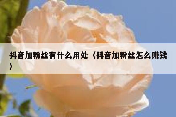 抖音加粉丝有什么用处(抖音加粉丝怎么赚钱) 第1张 抖音加粉丝有什么用处(抖音加粉丝怎么赚钱) 第1张