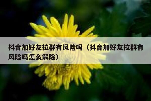 抖音加好友拉群有风险吗(抖音加好友拉群有风险吗怎么解除) 第1张 抖音加好友拉群有风险吗(抖音加好友拉群有风险吗怎么解除) 第1张