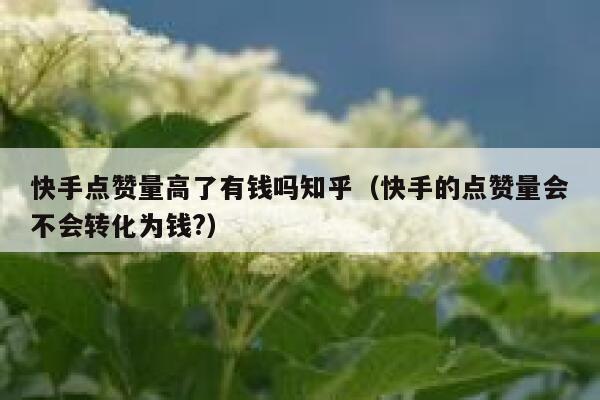快手点赞量高了有钱吗知乎(快手的点赞量会不会转化为钱?) 第1张 快手点赞量高了有钱吗知乎(快手的点赞量会不会转化为钱?) 第1张
