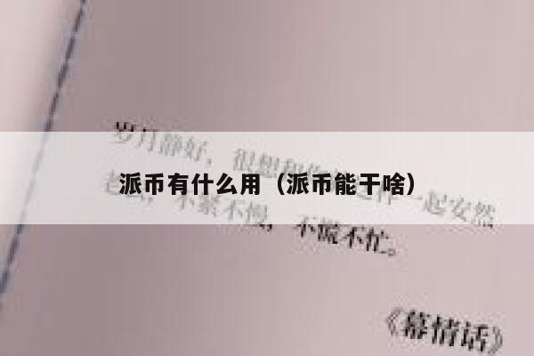 派币有什么用（派币能干啥） 第1张