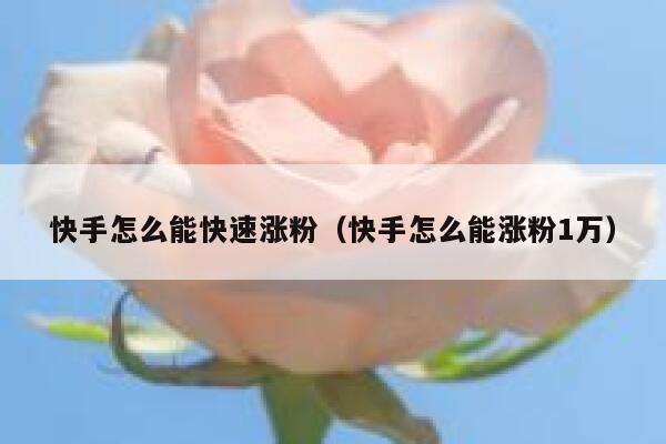快手怎么能快速涨粉（快手怎么能涨粉1万） 第1张