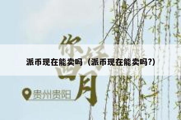 派币现在能卖吗(派币现在能卖吗?) 第1张 派币现在能卖吗(派币现在能卖吗?) 第1张