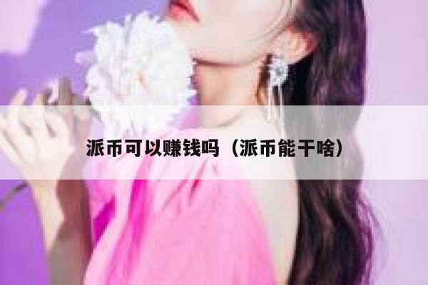 派币可以赚钱吗（派币能干啥） 第1张