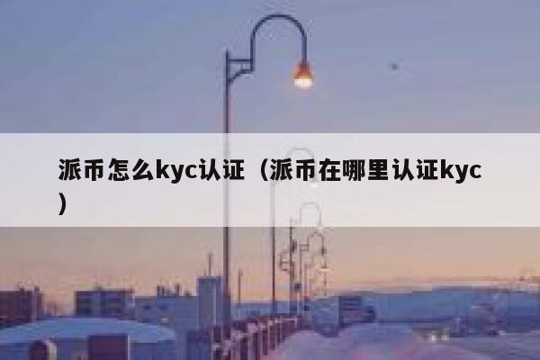 派币怎么kyc认证（派币在哪里认证kyc） 第1张