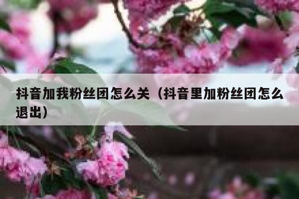 抖音加我粉丝团怎么关（抖音里加粉丝团怎么退出） 第1张
