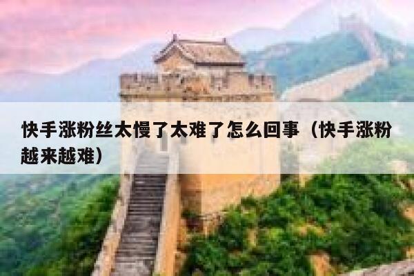 快手涨粉丝太慢了太难了怎么回事（快手涨粉越来越难） 第1张
