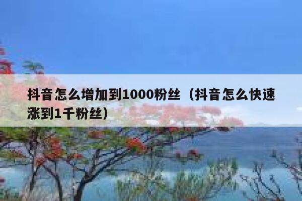 抖音怎么增加到1000粉丝（抖音怎么快速涨到1千粉丝） 第1张