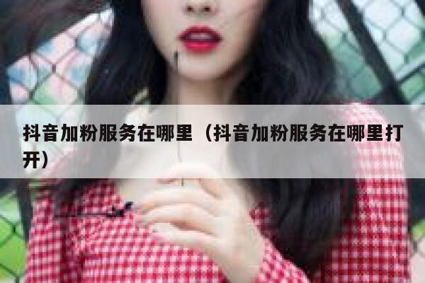 抖音加粉服务在哪里（抖音加粉服务在哪里打开） 第1张